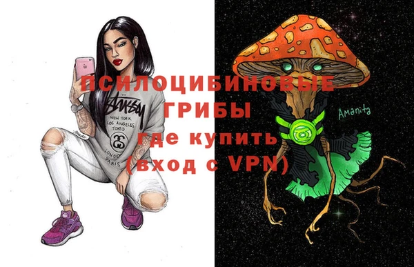 марки nbome Вяземский