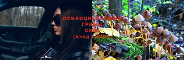 круглые Вязьма