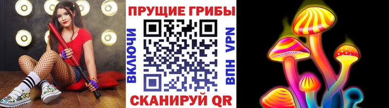 Псилоцибиновые грибы Magic Shrooms  Купить  Энем 