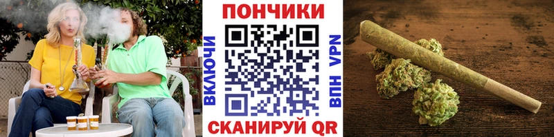 Бошки Шишки Amnesia  Купить закладки  Энем 